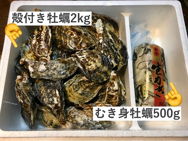 2kg殻付き牡蠣＋むき身牡蠣500gイメージ